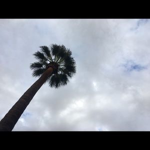 Meet your Posher, Mimi